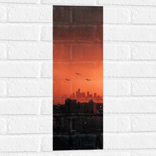 WallClassics - Muursticker - Trio vogels boven Gebouwen in de Stad - 20x60 cm Foto op Muursticker