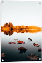 WallClassics - Tuinposter – Herfstbladeren op het Water omringd door Bomen - 60x90 cm Foto op Tuinposter (wanddecoratie voor buiten en binnen)
