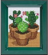 Pixel hobby geschenkverpakking - Cactus