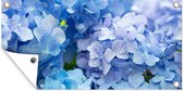 Tuinposter - Bloemen - Hortensia - Tuin - Blauw - Schuttingdecoratie - Tuindoek - Buitenposter - 200x100 cm