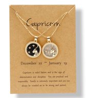 Dubbele sterrenbeeld Ketting op Kaart| Sieraden Cadeau | Capricorn / Steenbok | BFF Ketting | Astrologie