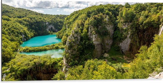 Dibond - Blauwe Wateren bij Planten in het Nationale Park Plitvicemeren, Kroatië - 100x50 cm Foto op Aluminium (Met Ophangsysteem)