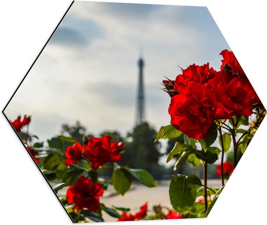 Dibond Hexagon - Rode Rozenstruik voor Eiffeltoren in Parijs, Frankrijk - 60x52.2 cm Foto op Hexagon (Met Ophangsysteem)