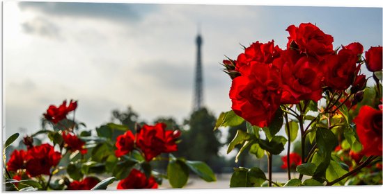 Acrylglas - Rode Rozenstruik voor Eiffeltoren in Parijs, Frankrijk - 100x50 cm Foto op Acrylglas (Wanddecoratie op Acrylaat)