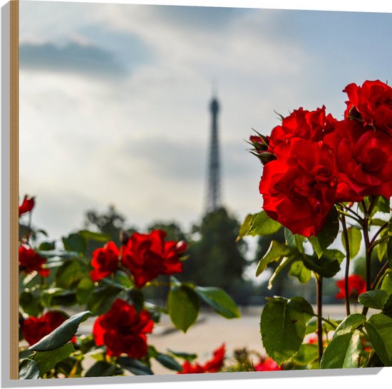 Hout - Rode Rozenstruik voor Eiffeltoren in Parijs, Frankrijk - 80x80 cm - 9 mm dik - Foto op Hout (Met Ophangsysteem)