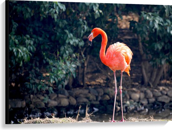 Canvas - Staande Roze Flamingo - 100x75 cm Foto op Canvas Schilderij (Wanddecoratie op Canvas)