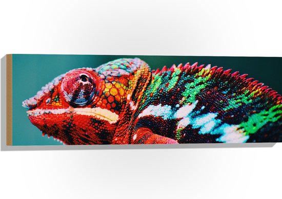 Hout - Omhoogkijkende Kameleon met Groen en Roodkleurige Vacht - 90x30 cm - 9 mm dik - Foto op Hout (Met Ophangsysteem)