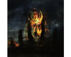 Fen - Carrion Skies (CD)