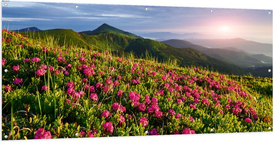 Tuinposter – Zon Verdwijnend Achter Bergen bij Roze Bloemenveld - 200x100 cm Foto op Tuinposter (wanddecoratie voor buiten en binnen)