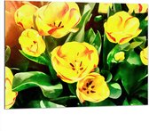 Dibond - Schilderij van Gele Violet Bloemen in het Veld - 100x75 cm Foto op Aluminium (Wanddecoratie van metaal)