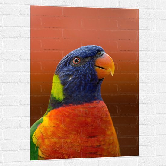 WallClassics - Muursticker - Blijkijkende Papegaai met Felle Kleuren - 70x105 cm Foto op Muursticker