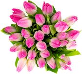 YouFlowers - Roze Tulpen - 50 stelen - Gratis bloemenvoeding - Snijbloemen - Vers van de kweker