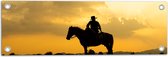 Tuinposter – Silhouet van Cowboy op zijn Paard tijdens Mooie Zomerse Zonsondergang - 60x20 cm Foto op Tuinposter (wanddecoratie voor buiten en binnen)