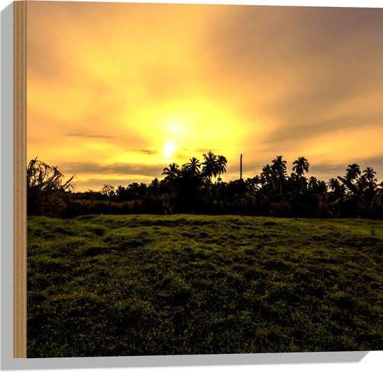 Hout - Grasveld voor Zon verdwijnend achter Palmbomen - 50x50 cm - 9 mm dik - Foto op Hout (Met Ophangsysteem)