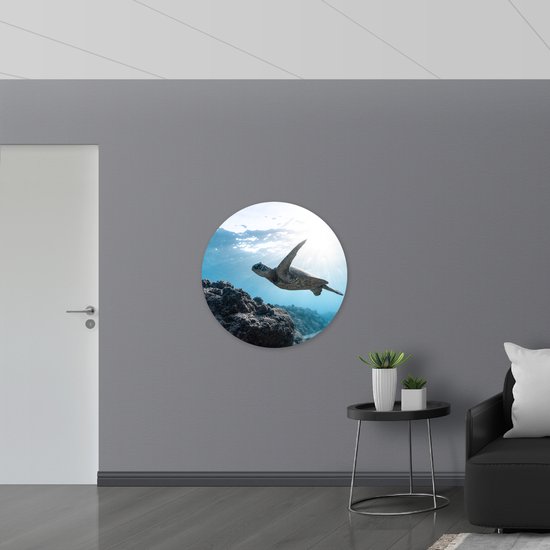 Muursticker Cirkel - Tropische Zeeschildpad onder het Wateroppervlak - 90x90 cm Foto op Muursticker