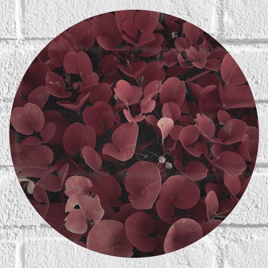 Muursticker Cirkel - Struik van Rode Bladeren - 30x30 cm Foto op Muursticker
