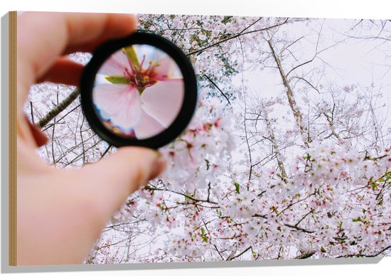 Hout - Roze Bloem aan de Boom in een Vergrootglas - 90x60 cm - 9 mm dik - Foto op Hout (Met Ophangsysteem)