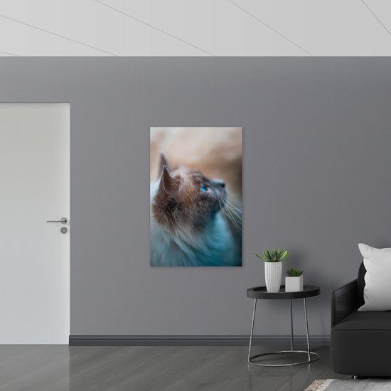 Acrylglas - Wegkijkende Beige Kat met Lange Snorharen - 80x120 cm Foto op Acrylglas (Wanddecoratie op Acrylaat)