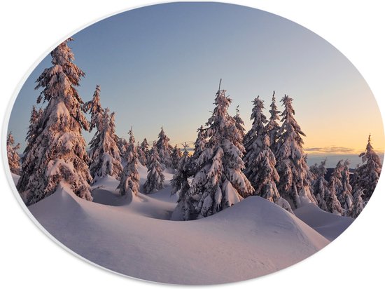 PVC Schuimplaat Ovaal - Dikke Laag Sneeuw in Open Bos met Bomen - 28x21 cm Foto op Ovaal (Met Ophangsysteem)