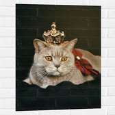 Muursticker - Kat als Koning met Kroontje - 60x80 cm Foto op Muursticker