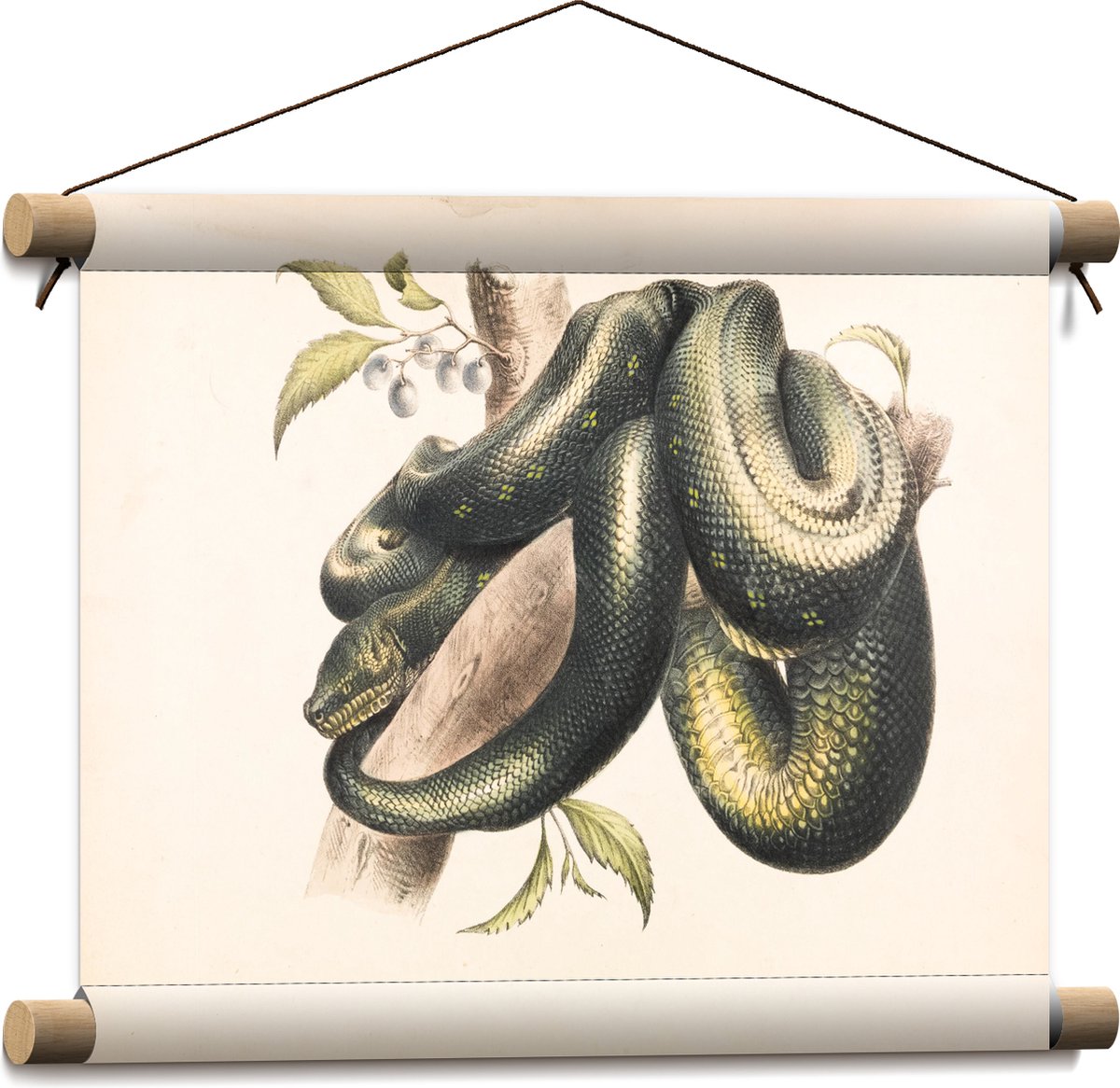 Textielposter - Tekening van Groene Slang om Boomstam met Planten - 40x30 cm Foto op Texti