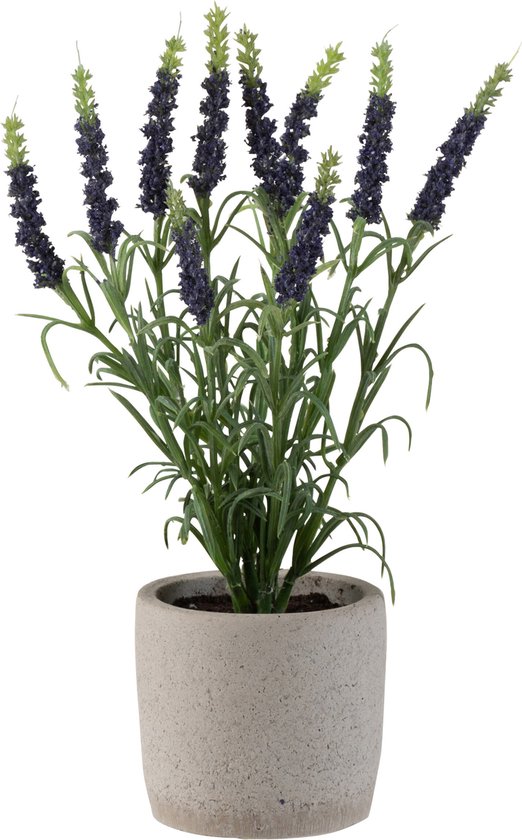 J-Line Lavendel In Pot Plastiek Donker Paars