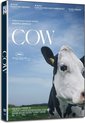 Cow (DVD)