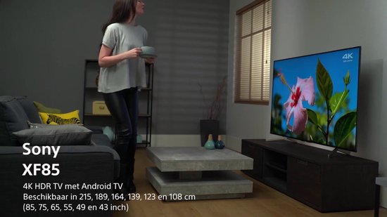 Sony KD65XF8505 165,1 cm (65") 4K Ultra HD Smart TV Wifi Noir | bol