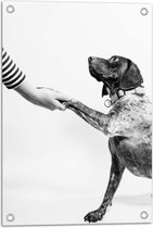 WallClassics - Tuinposter – Hond Geeft Poot Zwart - Wit - 40x60 cm Foto op Tuinposter (wanddecoratie voor buiten en binnen)