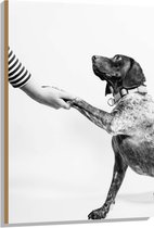 WallClassics - Hout - Hond Geeft Poot Zwart - Wit - 70x105 cm - 9 mm dik - Foto op Hout (Met Ophangsysteem)
