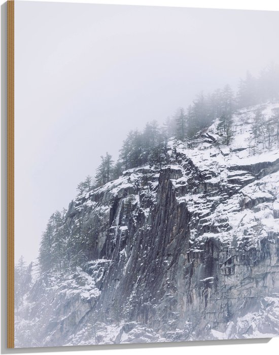WallClassics - Hout - Besneeuwde Bergen in de Mist - 75x100 cm - 9 mm dik - Foto op Hout (Met Ophangsysteem)