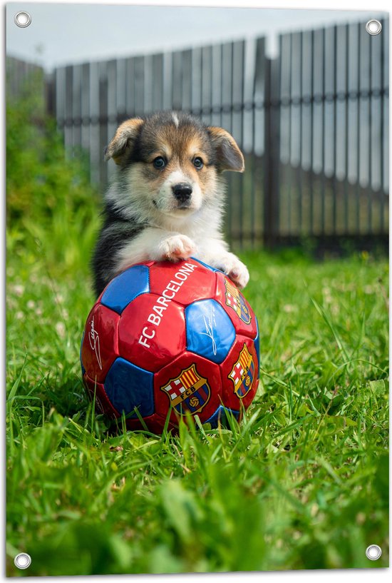 WallClassics - Tuinposter – Hondje Speelt met een Voetbal - 50x75 cm Foto op Tuinposter (wanddecoratie voor buiten en binnen)