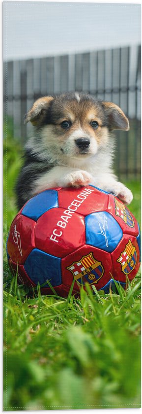 WallClassics - Vlag - Hondje Speelt met een Voetbal - 20x60 cm Foto op Polyester Vlag