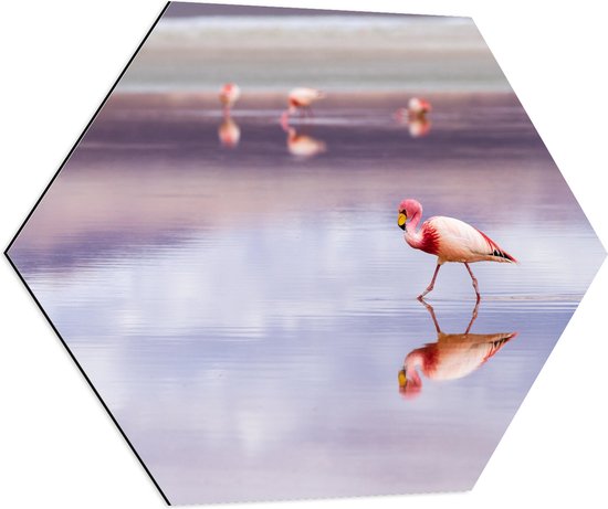 WallClassics - Dibond Hexagon - Flamingo in het Water - 70x60.9 cm Foto op Hexagon (Met Ophangsysteem)