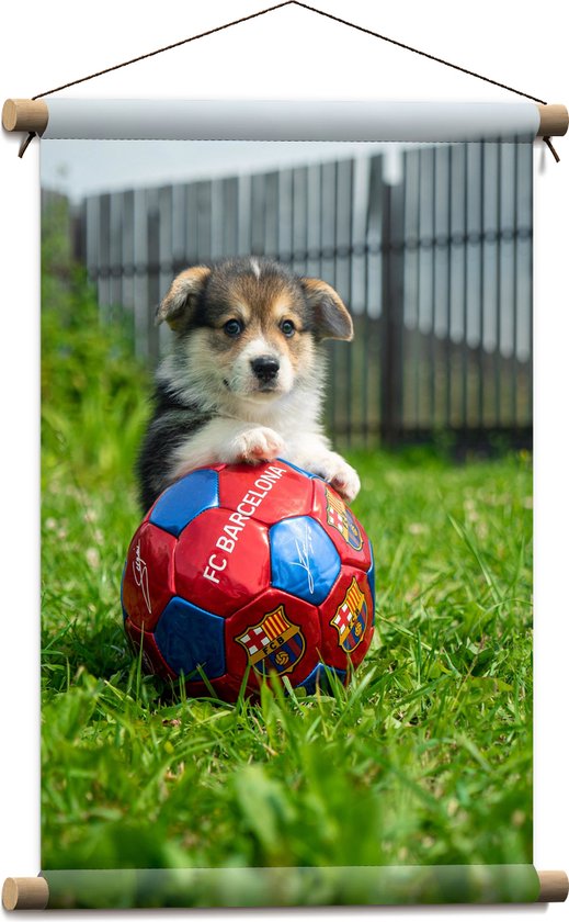WallClassics - Textielposter - Hondje Speelt met een Voetbal - 40x60 cm Foto op Textiel