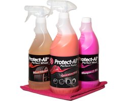 Protect-All PROMOPACK - shampoo + velgenreiniger + quick detailer - SUPERPOPULAIR - alle Protect-All essentials