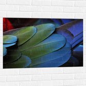 WallClassics - Muursticker - Veren van een Gekleurde Papegaai - 90x60 cm Foto op Muursticker