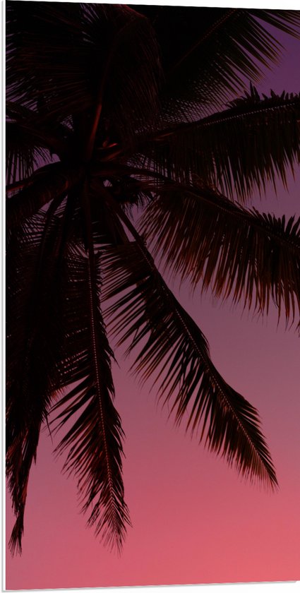 WallClassics - PVC Schuimplaat - Silhouette van een Palmboom bij Roze Lucht - 50x100 cm Foto op PVC Schuimplaat (Met Ophangsysteem)