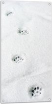 WallClassics - Tuinposter – Dieren Spoor in de Sneeuw - 50x100 cm Foto op Tuinposter (wanddecoratie voor buiten en binnen)
