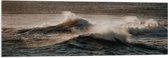 WallClassics - Acrylglas - Golven in de Zee - 120x40 cm Foto op Acrylglas (Wanddecoratie op Acrylaat)