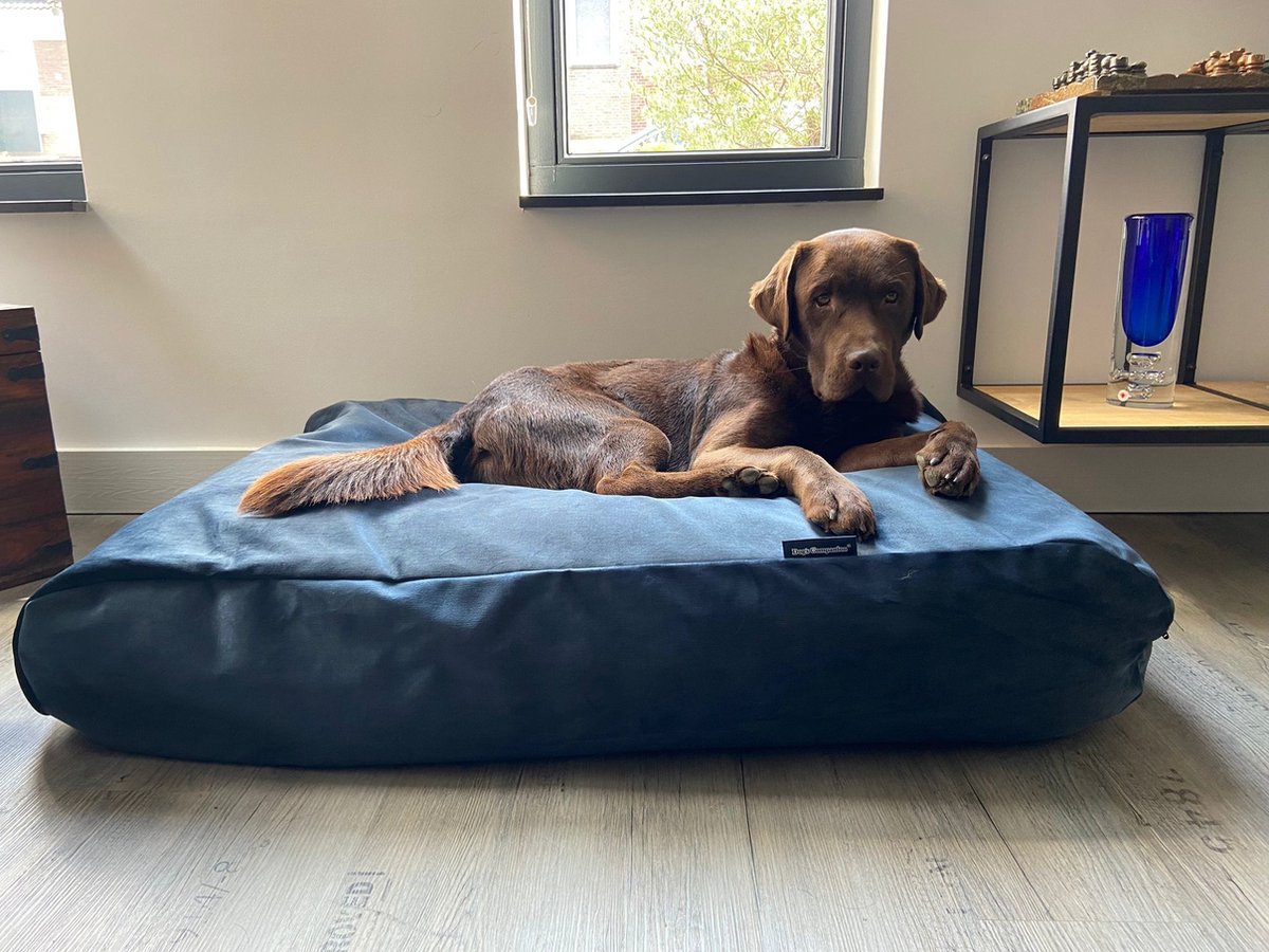 Dog's Companion Hondenkussen / Hondenbed - XS - 55 x 45 cm - Strong Midnight Blue Velvet