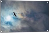 WallClassics - Tuinposter – Vliegende Roofvogel in de Lucht - 90x60 cm Foto op Tuinposter (wanddecoratie voor buiten en binnen)