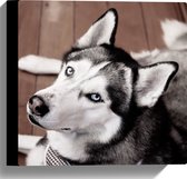 WallClassics - Canvas - Wit met Zwarte Hond op de Grond - 30x30 cm Foto op Canvas Schilderij (Wanddecoratie op Canvas)