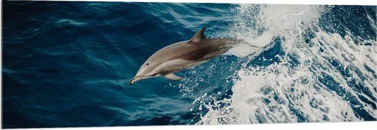 WallClassics - Verre Acrylique - Dauphin Sautant dans la Mer Ondulante - 150x50 cm Photo sur Verre Acrylique (Avec Système de Suspension)