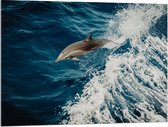 WallClassics - Acrylglas - Springende Dolfijn in de Golvende Zee - 100x75 cm Foto op Acrylglas (Met Ophangsysteem)