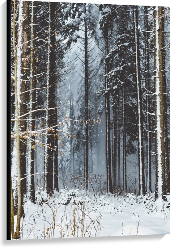 WallClassics - Canvas - Witte Sneeuw op de Bomen - 80x120 cm Foto op Canvas Schilderij (Wanddecoratie op Canvas)