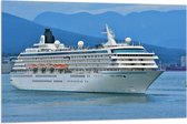 WallClassics - Vlag - Groot Wit Cruiseschip varend bij Bergen - 105x70 cm Foto op Polyester Vlag