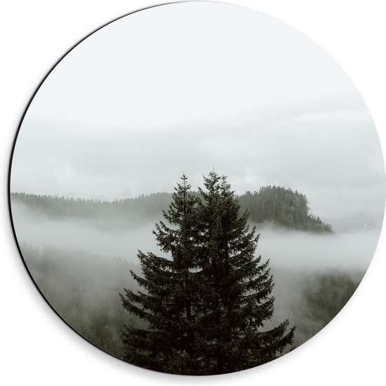 Dibond Muurcirkel - Grote Groene Boom in Mist tussen Bossen - 30x30 cm Foto op Aluminium Muurcirkel (met ophangsysteem)