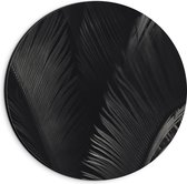 Dibond Muurcirkel - Zwarte Veren - 20x20 cm Foto op Aluminium Muurcirkel (met ophangsysteem)