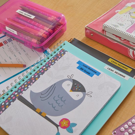 Dymo LetraTag LT-100T-labelmaker | Draagbare labelprinter met QWERTY-toetsenbord | Zilver | Ideaal voor op kantoor of thuis